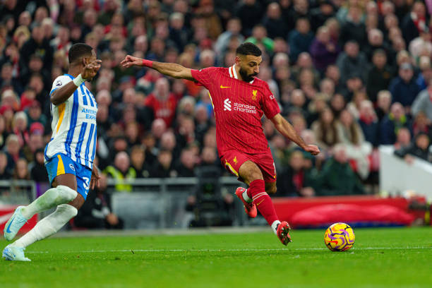 站起来的典 站起来的典